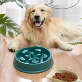 Anti-choking slow feeder and water bowl station for dogs and cats - prevents overeating and promotes healthy digestion