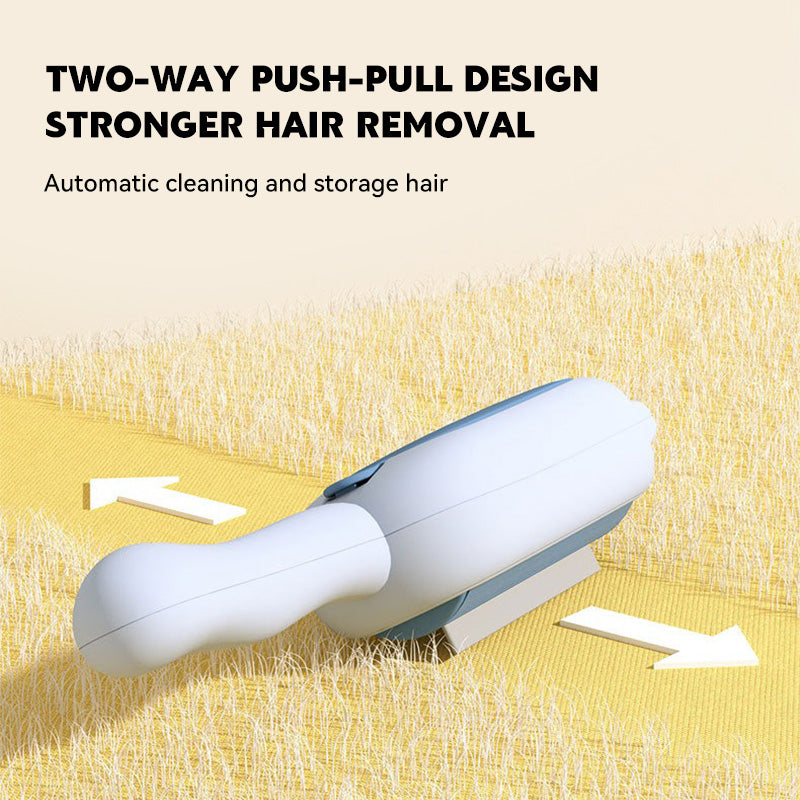 Electrostatic adsorption two-way roller hair removal brush