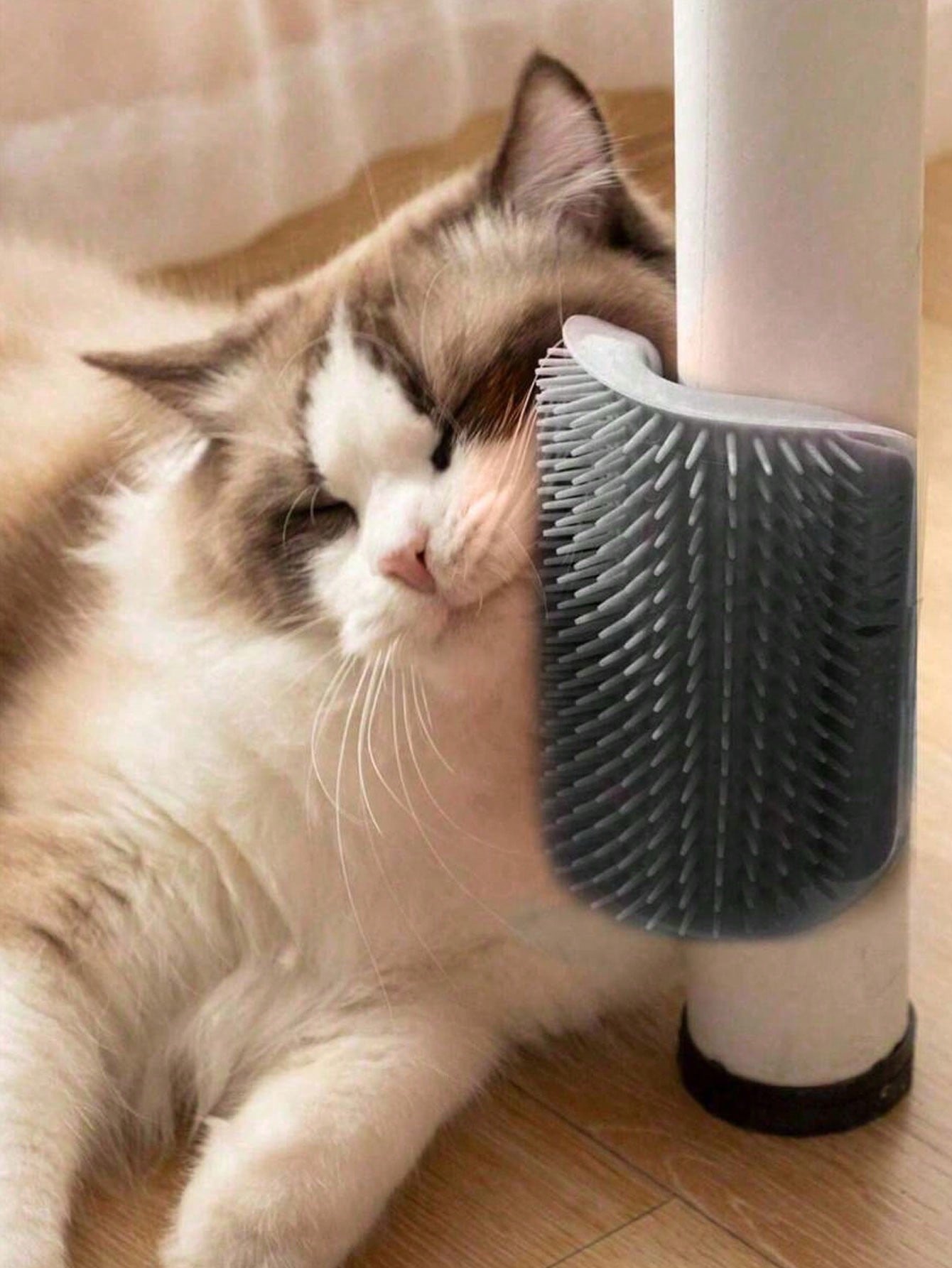 Cat Scratching Artifact