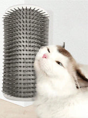 Cat Scratching Artifact