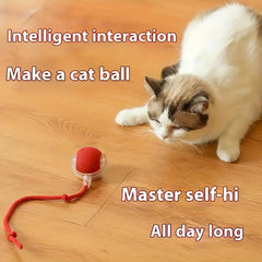 Universal Cat Teaser Wand | Auto Rotating Rolling Ball, USB Charging, Powered by 18650 Lithium Battery