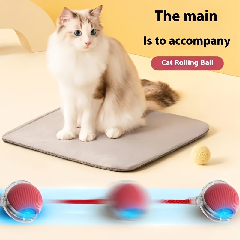 Universal Cat Teaser Wand | Auto Rotating Rolling Ball, USB Charging, Powered by 18650 Lithium Battery